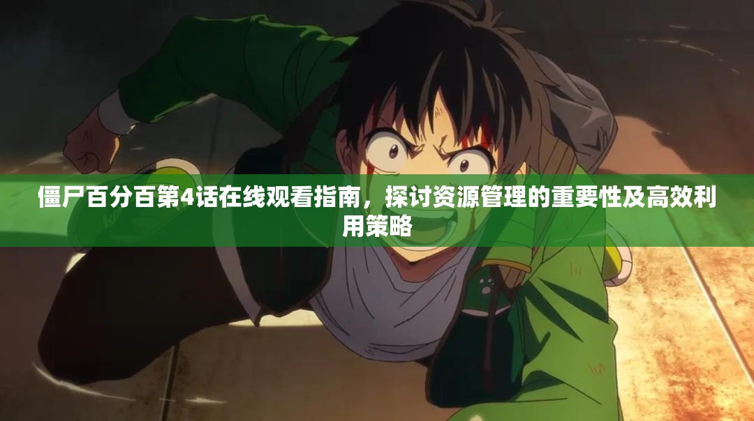 僵尸百分百第4话在线观看指南，探讨资源管理的重要性及高效利用策略