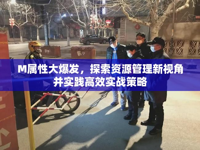M属性大爆发，探索资源管理新视角并实践高效实战策略