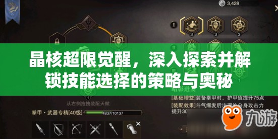 晶核超限觉醒，深入探索并解锁技能选择的策略与奥秘