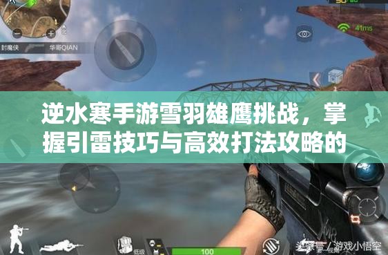 逆水寒手游雪羽雄鹰挑战，掌握引雷技巧与高效打法攻略的资源管理智慧解析