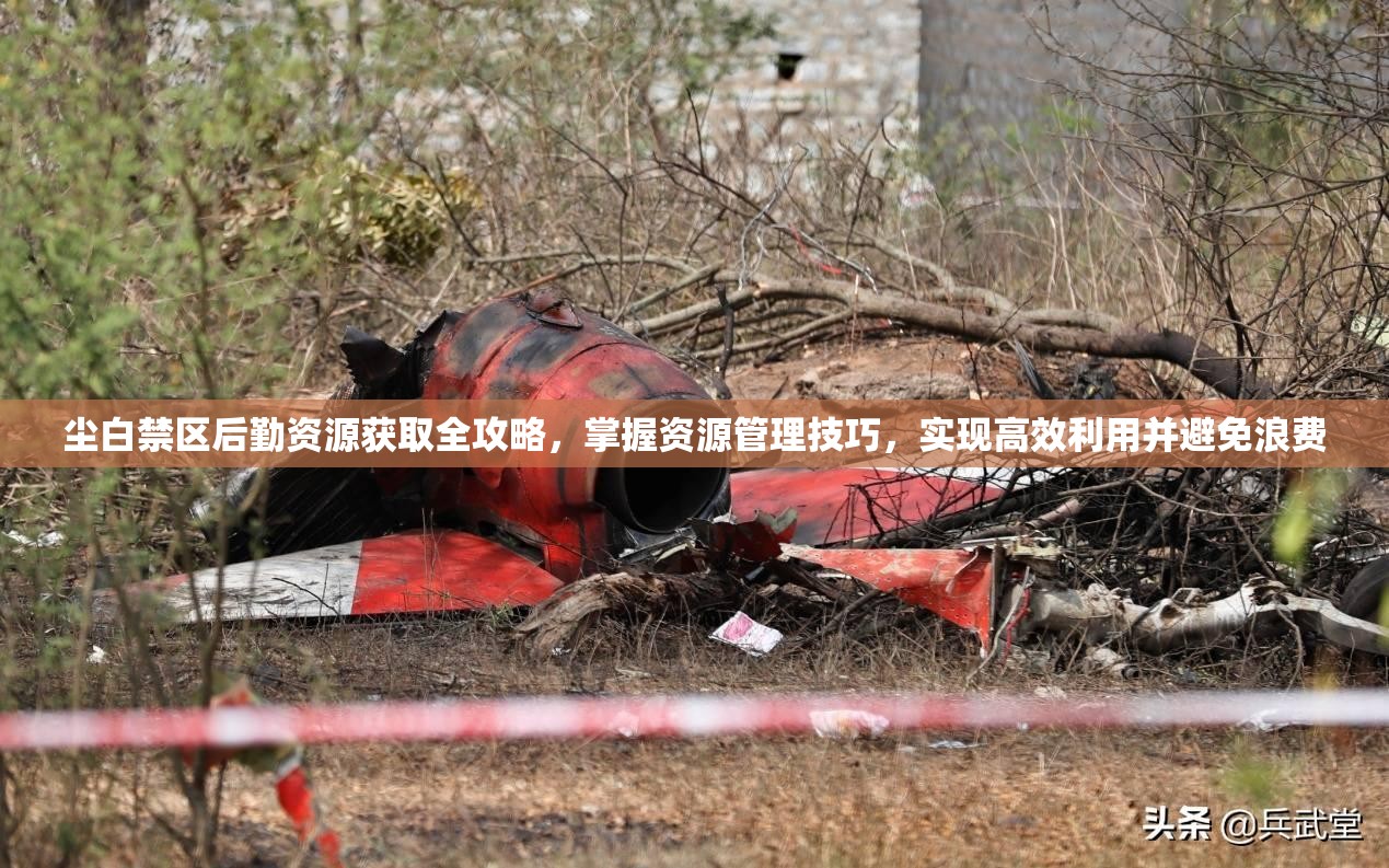 尘白禁区后勤资源获取全攻略，掌握资源管理技巧，实现高效利用并避免浪费