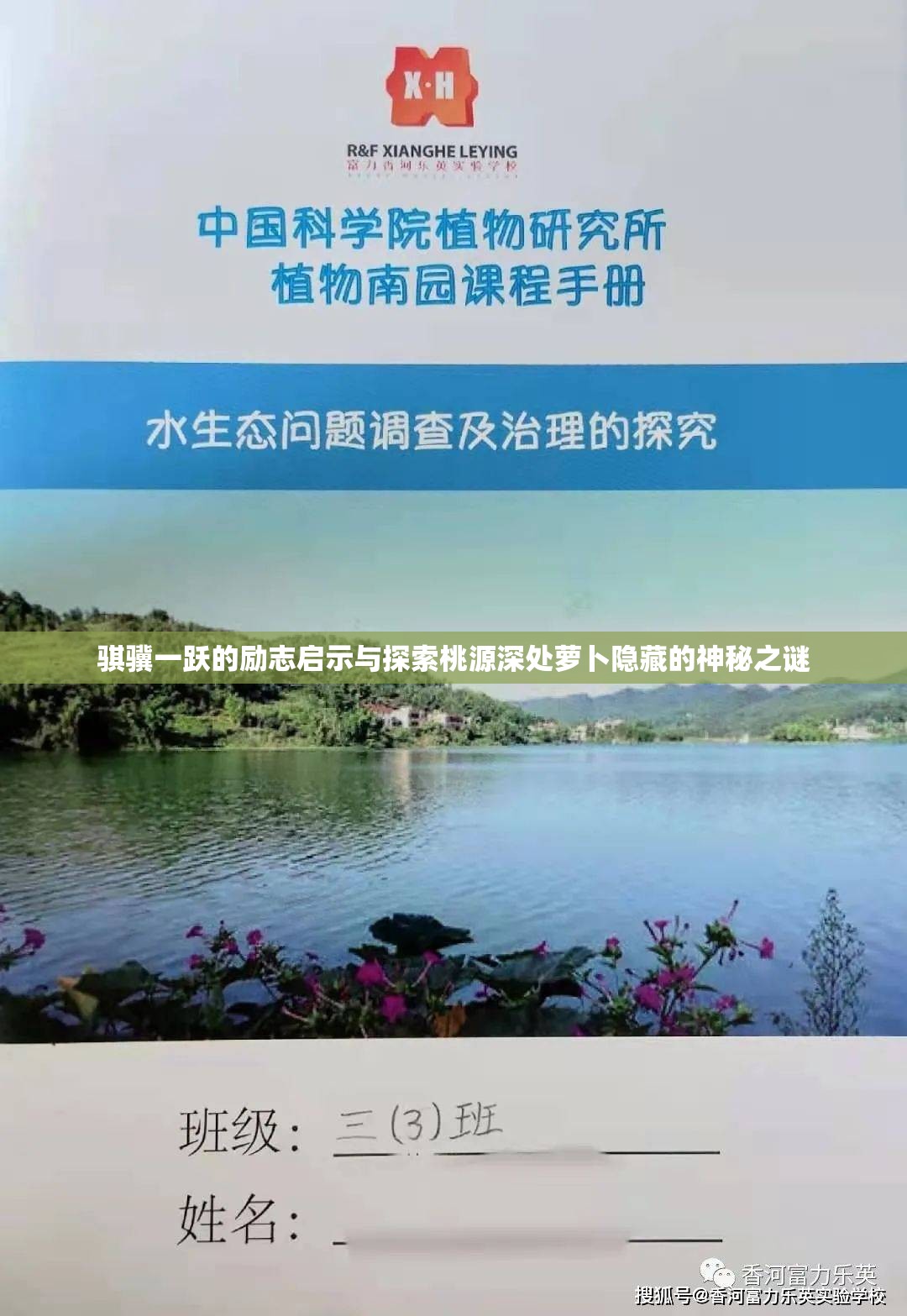骐骥一跃的励志启示与探索桃源深处萝卜隐藏的神秘之谜