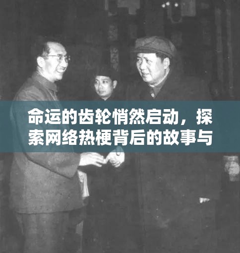 命运的齿轮悄然启动，探索网络热梗背后的故事与深层含义