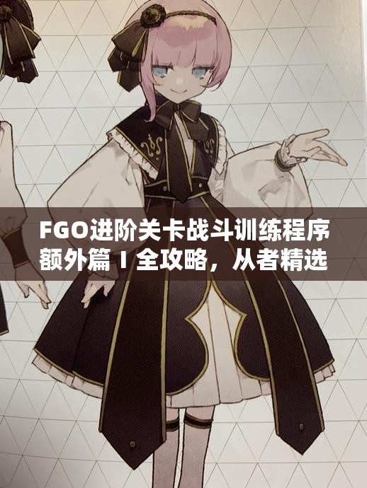 FGO进阶关卡战斗训练程序额外篇Ⅰ全攻略，从者精选与高效资源管理艺术揭秘