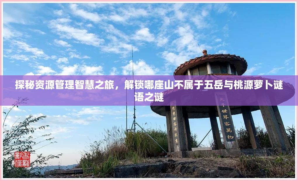 探秘资源管理智慧之旅，解锁哪座山不属于五岳与桃源萝卜谜语之谜