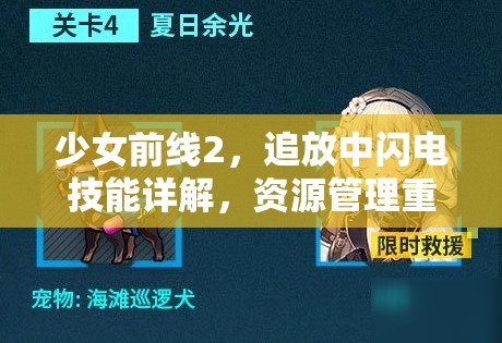 少女前线2，追放中闪电技能详解，资源管理重要性及高效实战运用策略