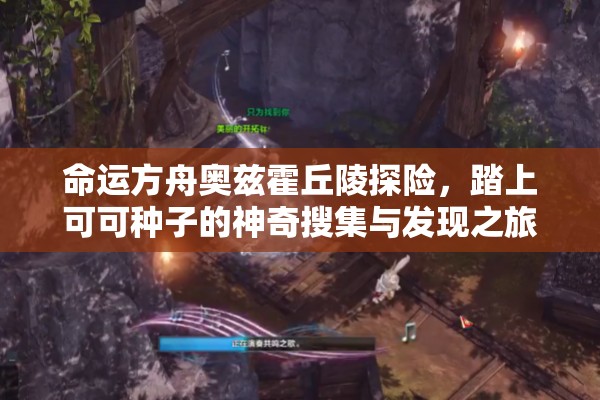 命运方舟奥兹霍丘陵探险，踏上可可种子的神奇搜集与发现之旅