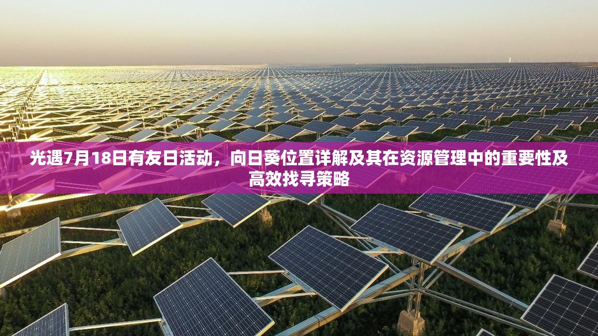 光遇7月18日有友日活动，向日葵位置详解及其在资源管理中的重要性及高效找寻策略