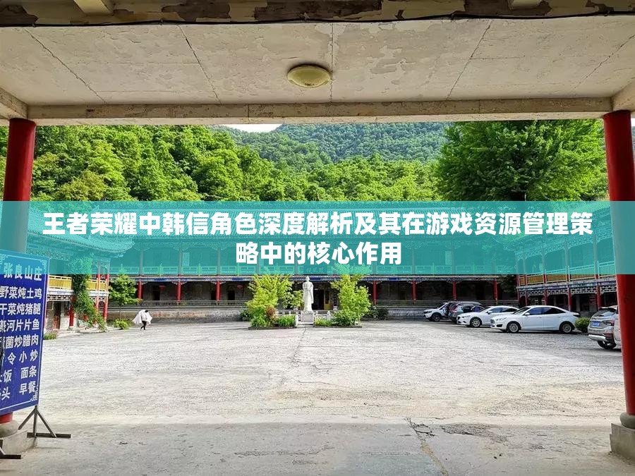 王者荣耀中韩信角色深度解析及其在游戏资源管理策略中的核心作用