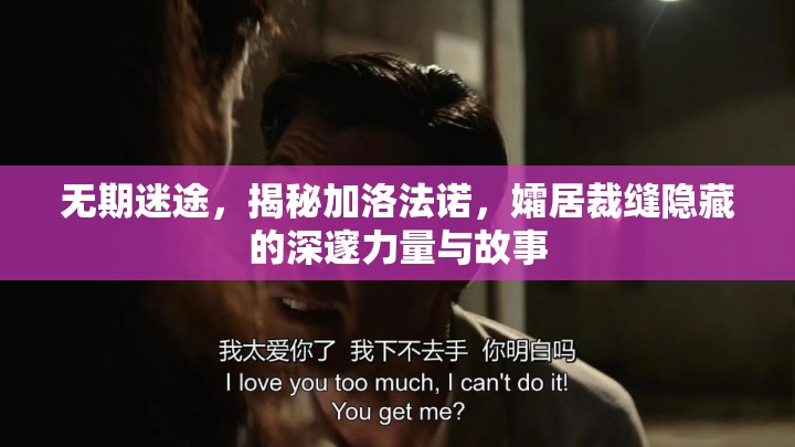 无期迷途，揭秘加洛法诺，孀居裁缝隐藏的深邃力量与故事