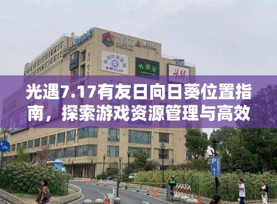 光遇7.17有友日向日葵位置指南，探索游戏资源管理与高效利用策略的重要性