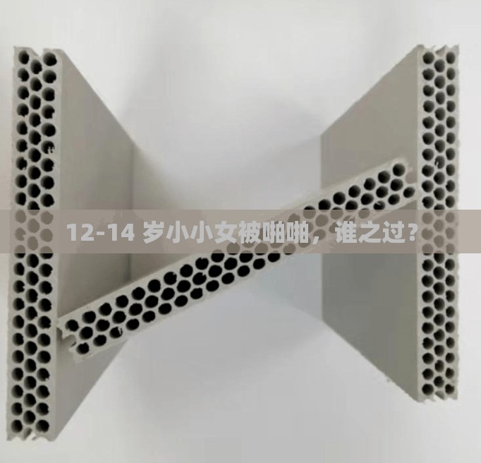 12-14 岁小小女被啪啪，谁之过？