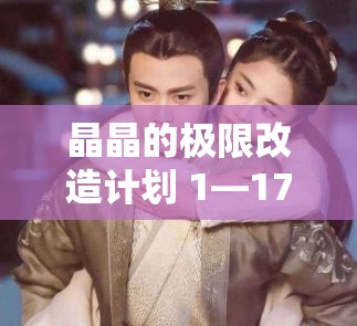 晶晶的极限改造计划 1―17：关于晶晶改造的详细规划与实施策略