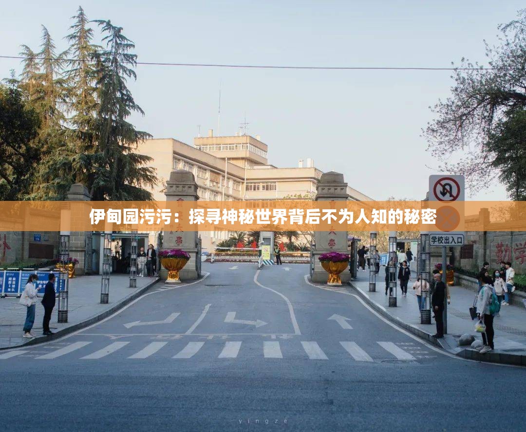 伊甸园污污：探寻神秘世界背后不为人知的秘密