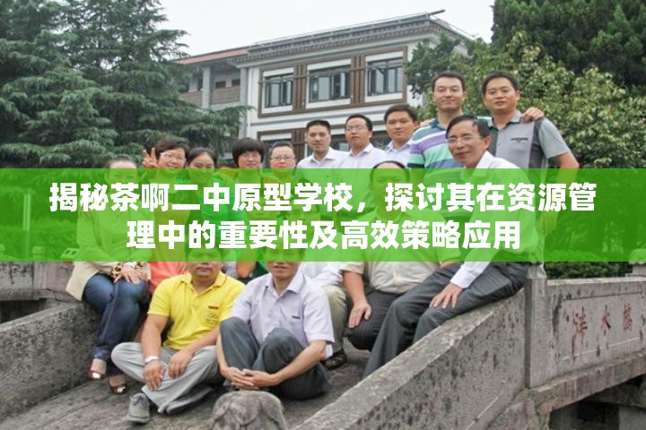 揭秘茶啊二中原型学校，探讨其在资源管理中的重要性及高效策略应用