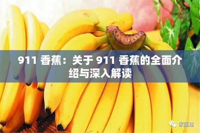 911 香蕉：关于 911 香蕉的全面介绍与深入解读