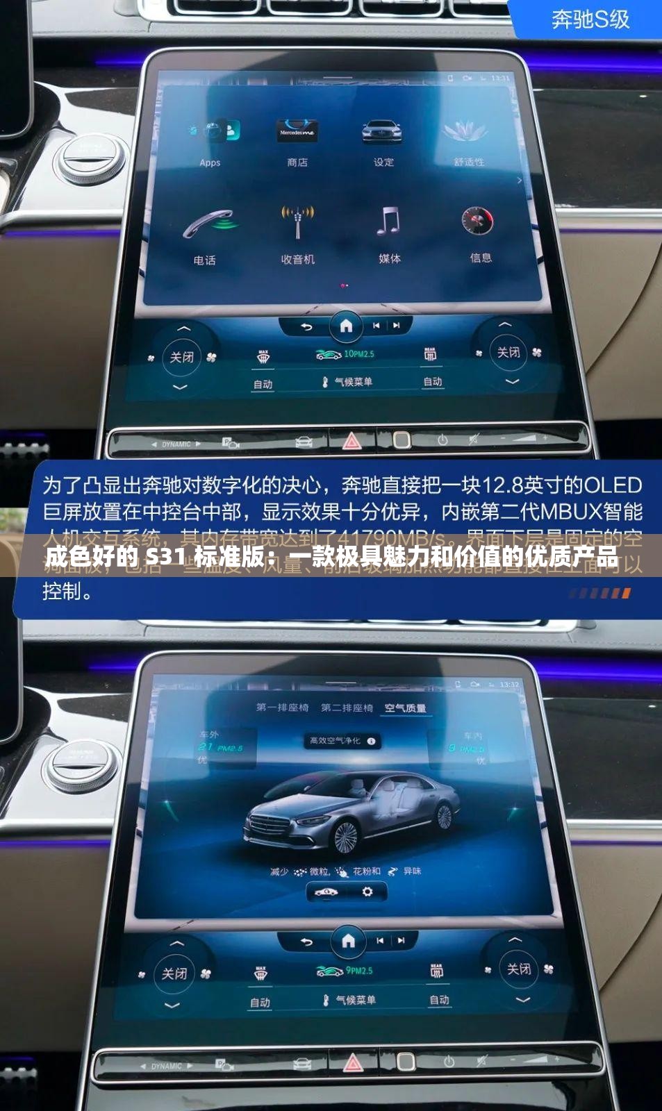 成色好的 S31 标准版：一款极具魅力和价值的优质产品