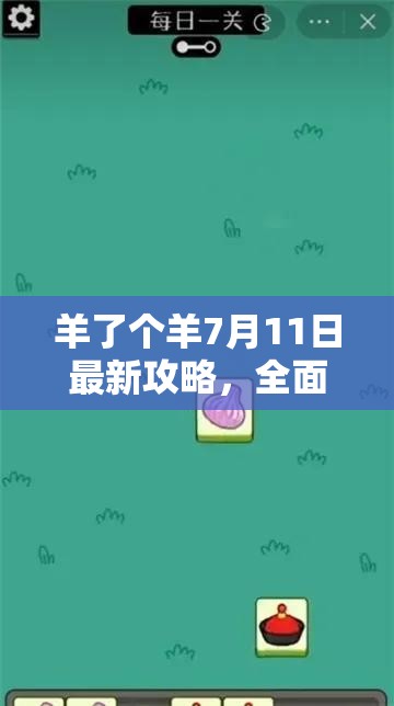 羊了个羊7月11日最新攻略，全面解锁当日高效通关秘籍与技巧