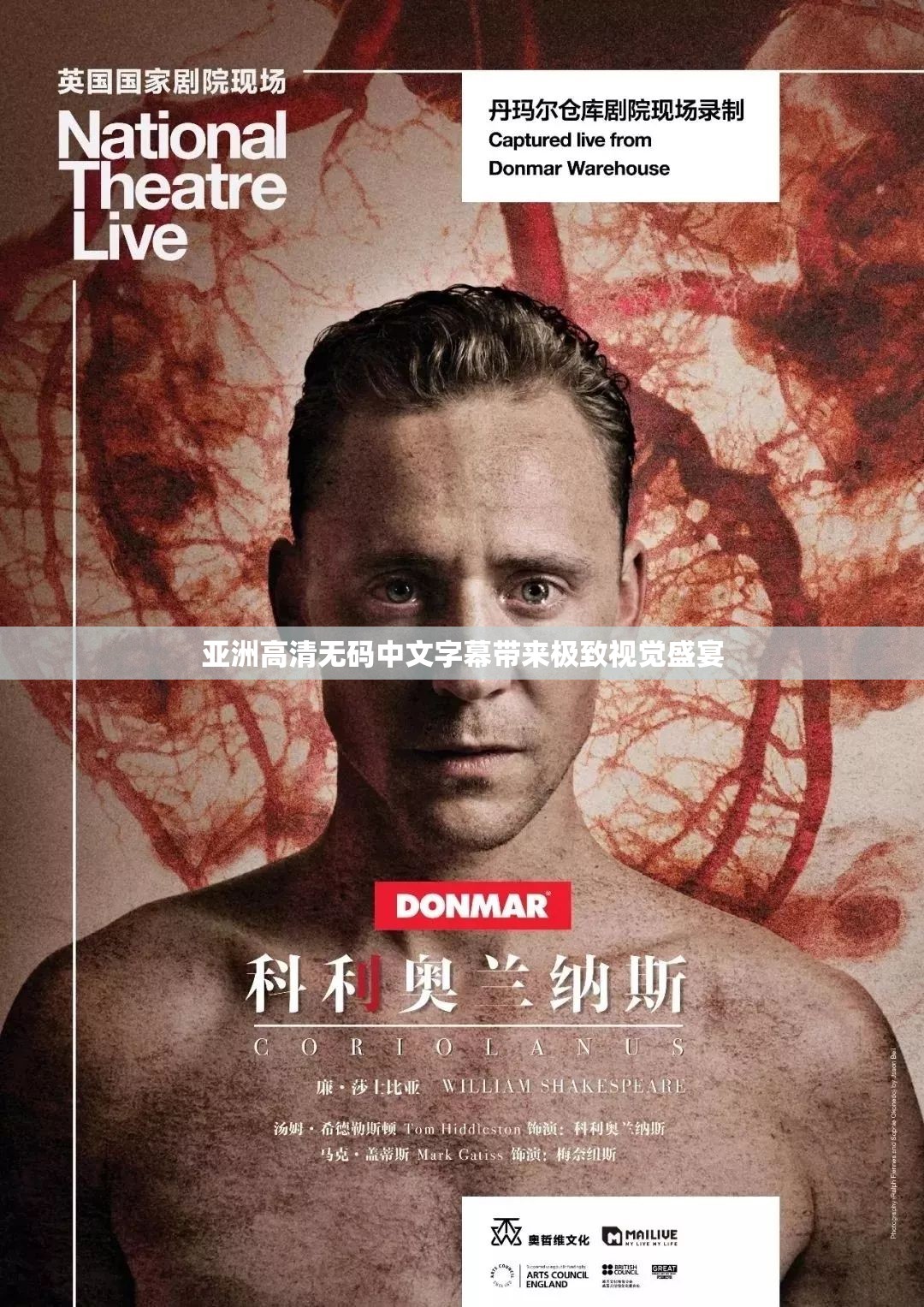 亚洲高清无码中文字幕带来极致视觉盛宴