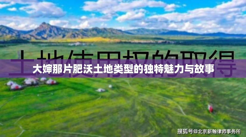 大婶那片肥沃土地类型的独特魅力与故事