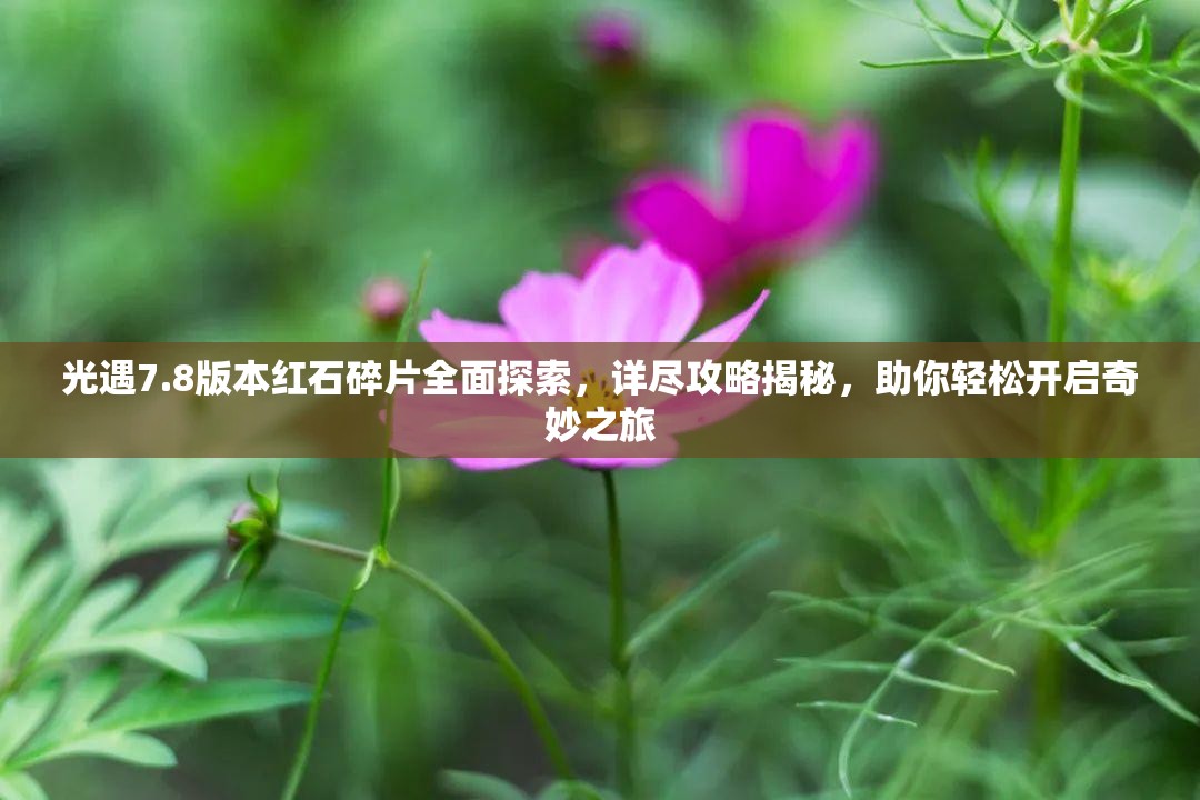 光遇7.8版本红石碎片全面探索，详尽攻略揭秘，助你轻松开启奇妙之旅