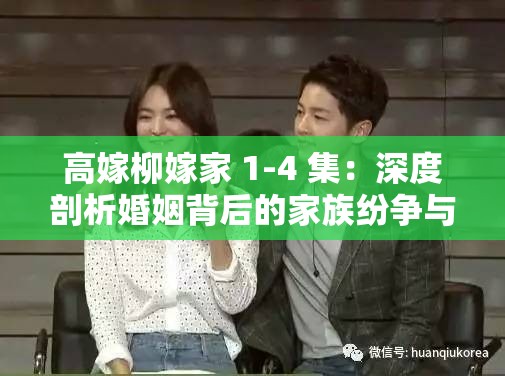 高嫁柳嫁家 1-4 集：深度剖析婚姻背后的家族纷争与情感纠葛