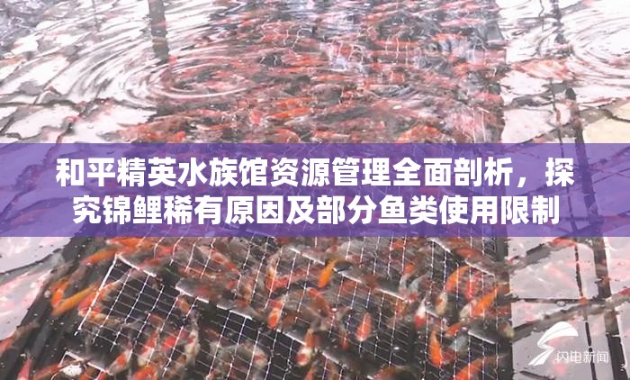 和平精英水族馆资源管理全面剖析，探究锦鲤稀有原因及部分鱼类使用限制