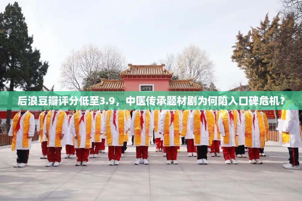 后浪豆瓣评分低至3.9，中医传承题材剧为何陷入口碑危机？