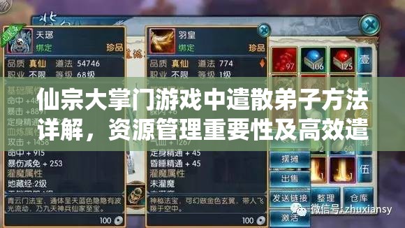 仙宗大掌门游戏中遣散弟子方法详解，资源管理重要性及高效遣散技巧