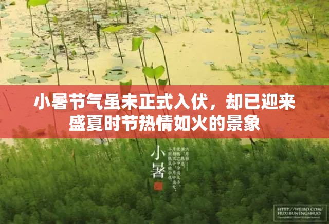 小暑节气虽未正式入伏，却已迎来盛夏时节热情如火的景象