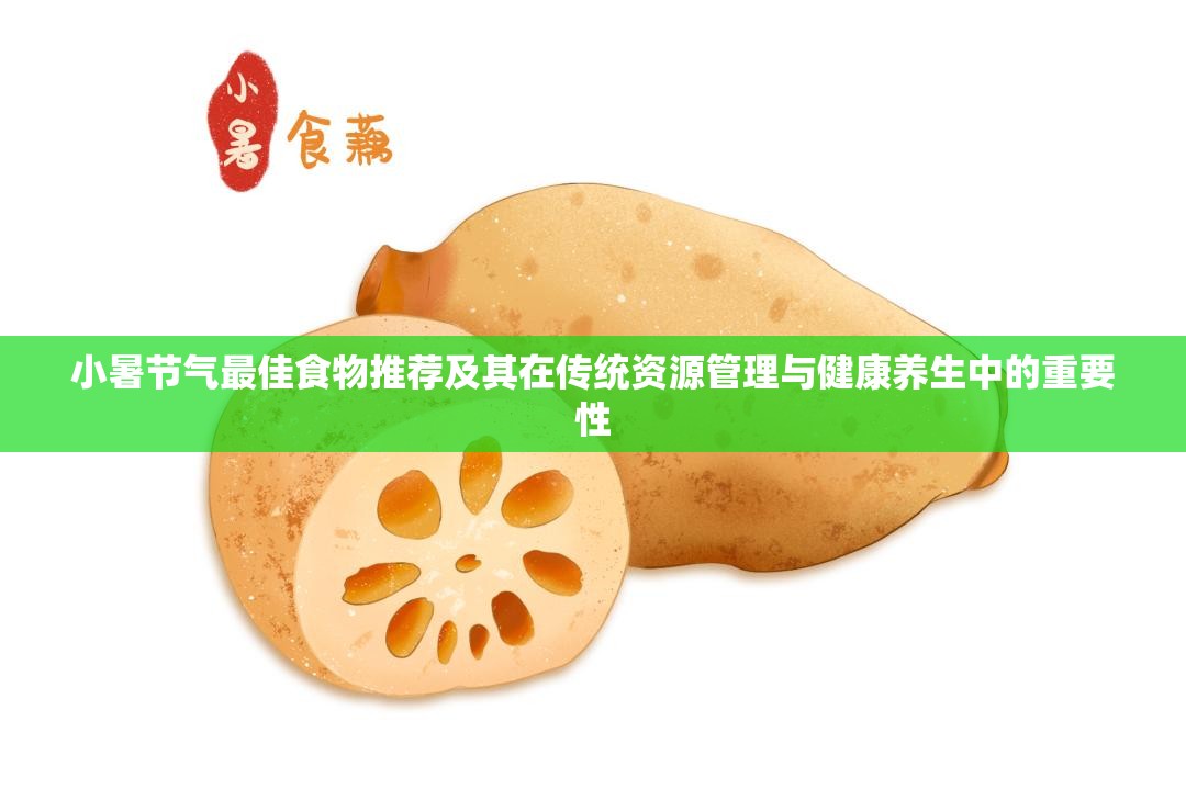小暑节气最佳食物推荐及其在传统资源管理与健康养生中的重要性