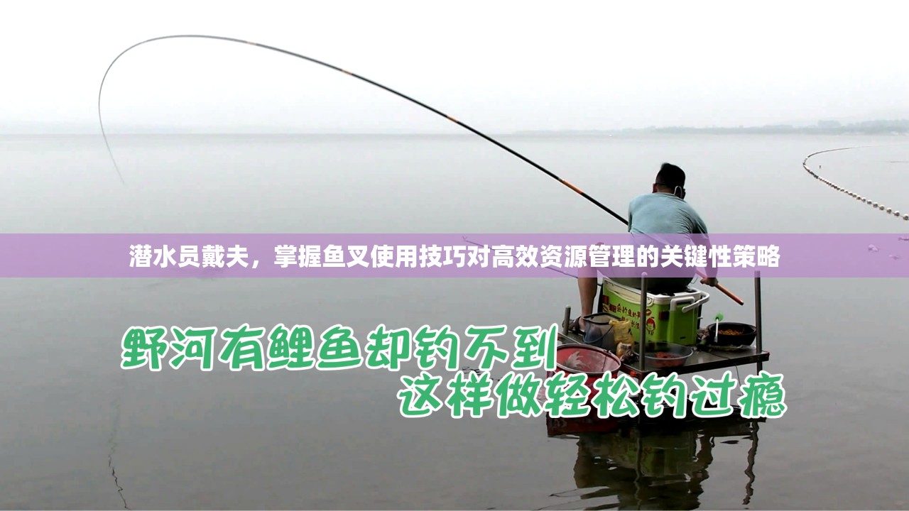 潜水员戴夫，掌握鱼叉使用技巧对高效资源管理的关键性策略