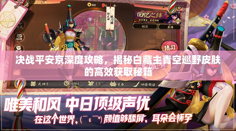 决战平安京深度攻略，揭秘白藏主青空巡野皮肤的高效获取秘籍
