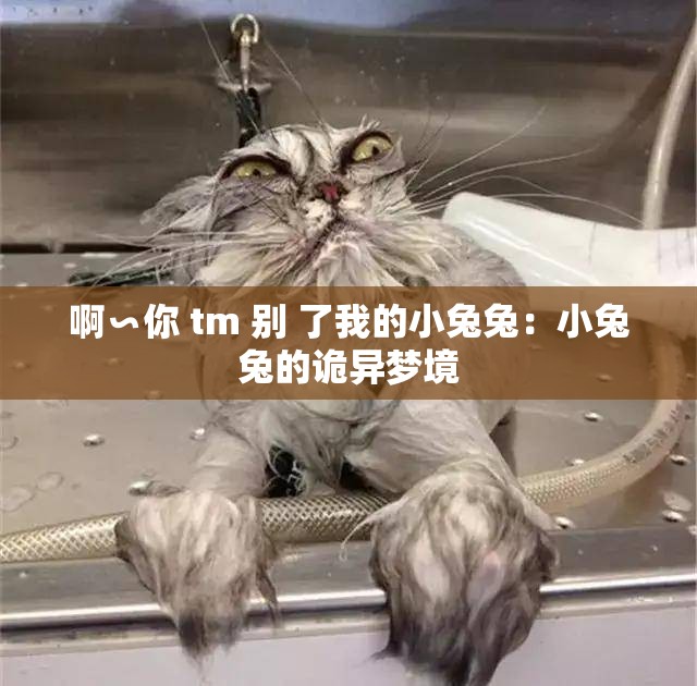 啊∽你 tm 别 了我的小兔兔：小兔兔的诡异梦境