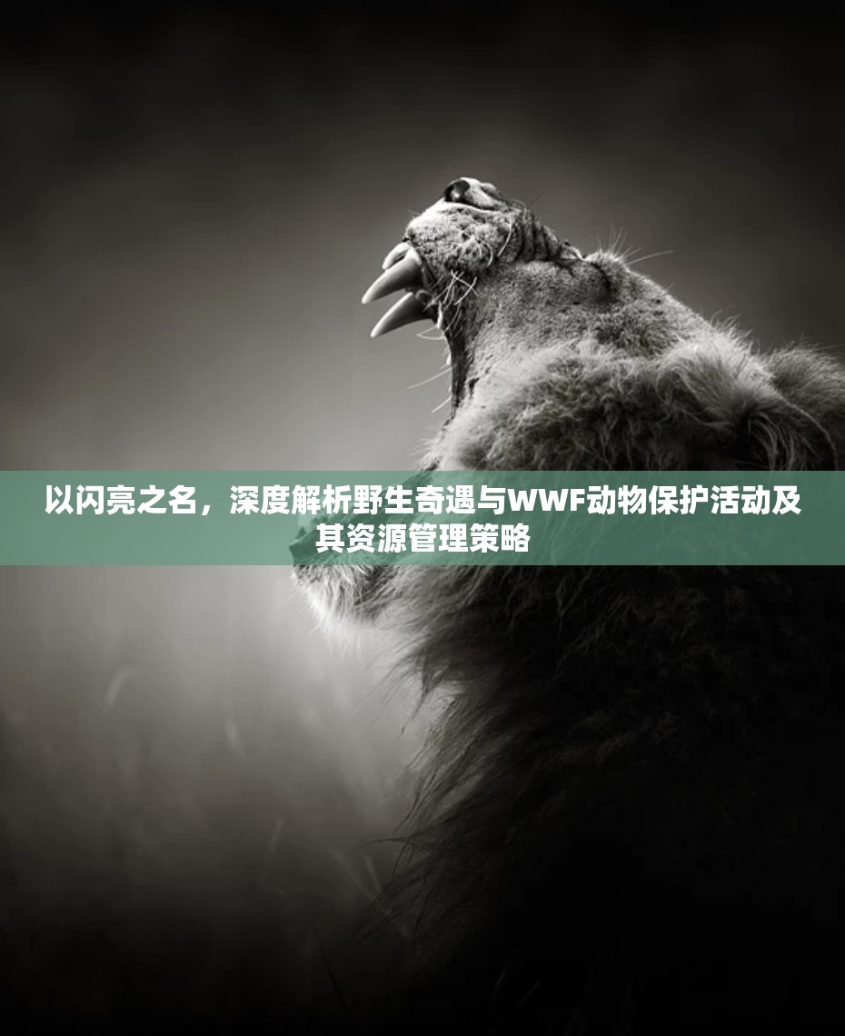 以闪亮之名，深度解析野生奇遇与WWF动物保护活动及其资源管理策略