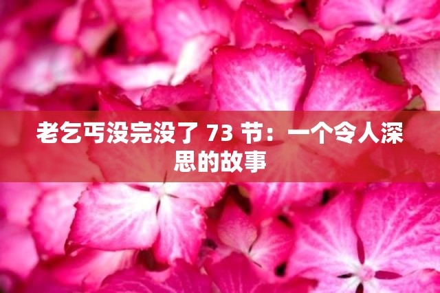 老乞丐没完没了 73 节：一个令人深思的故事