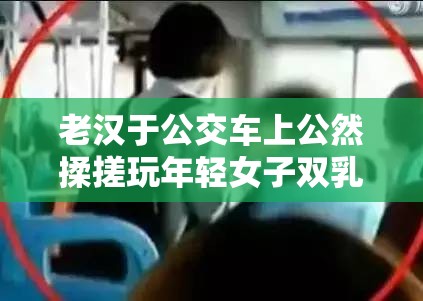 老汉于公交车上公然揉搓玩年轻女子双乳引众怒