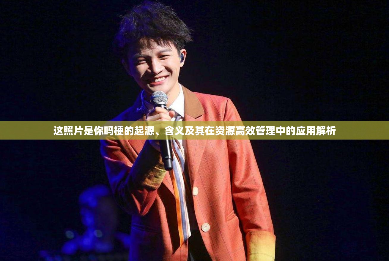 这照片是你吗梗的起源、含义及其在资源高效管理中的应用解析