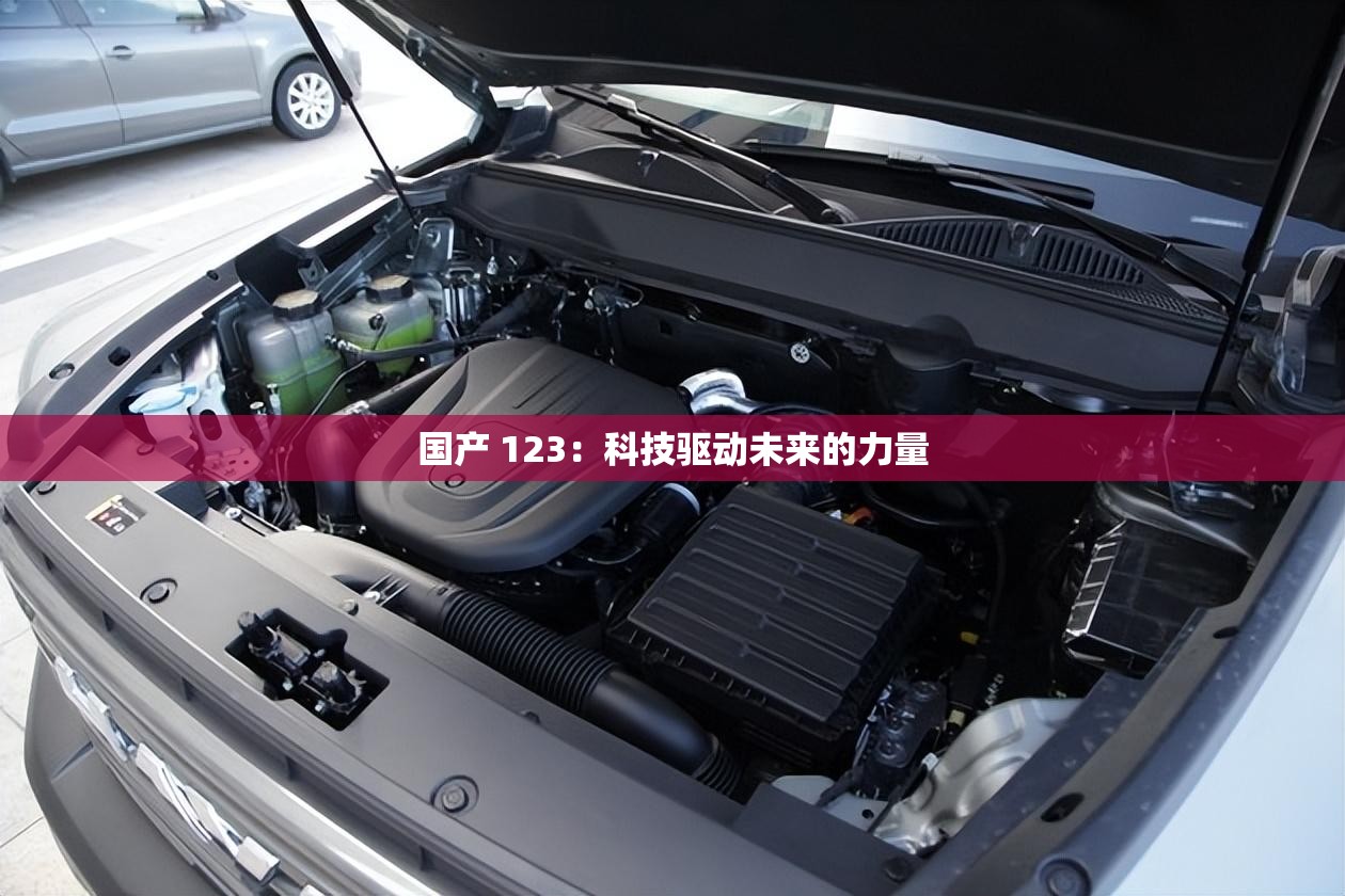 国产 123：科技驱动未来的力量