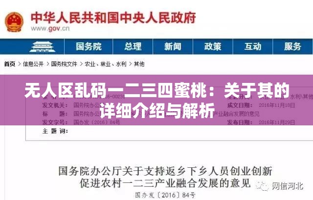 无人区乱码一二三四蜜桃：关于其的详细介绍与解析