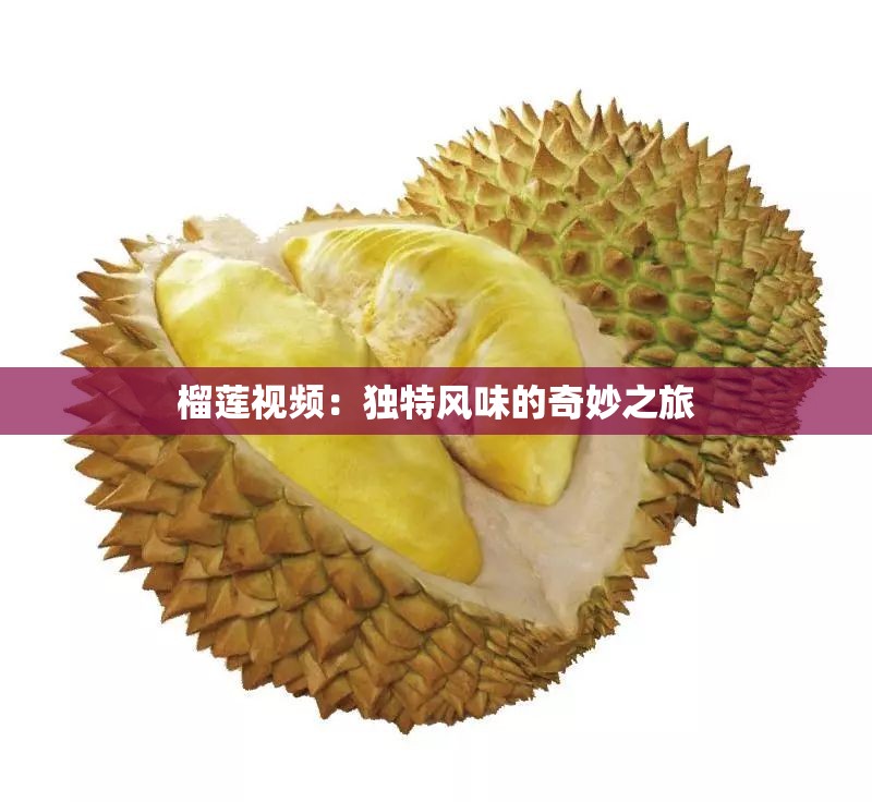榴莲视频：独特风味的奇妙之旅