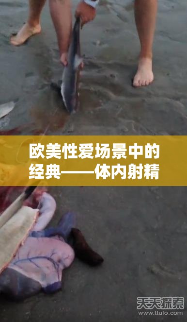 欧美性爱场景中的经典——体内射精震撼呈现