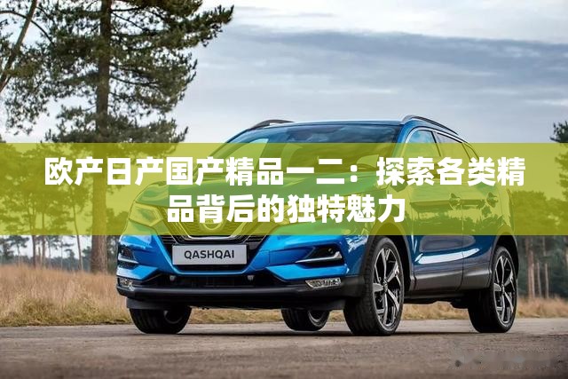 欧产日产国产精品一二：探索各类精品背后的独特魅力
