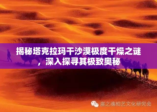 揭秘塔克拉玛干沙漠极度干燥之谜，深入探寻其极致奥秘