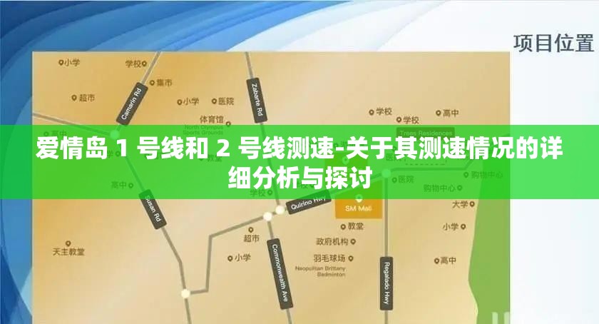 爱情岛 1 号线和 2 号线测速-关于其测速情况的详细分析与探讨