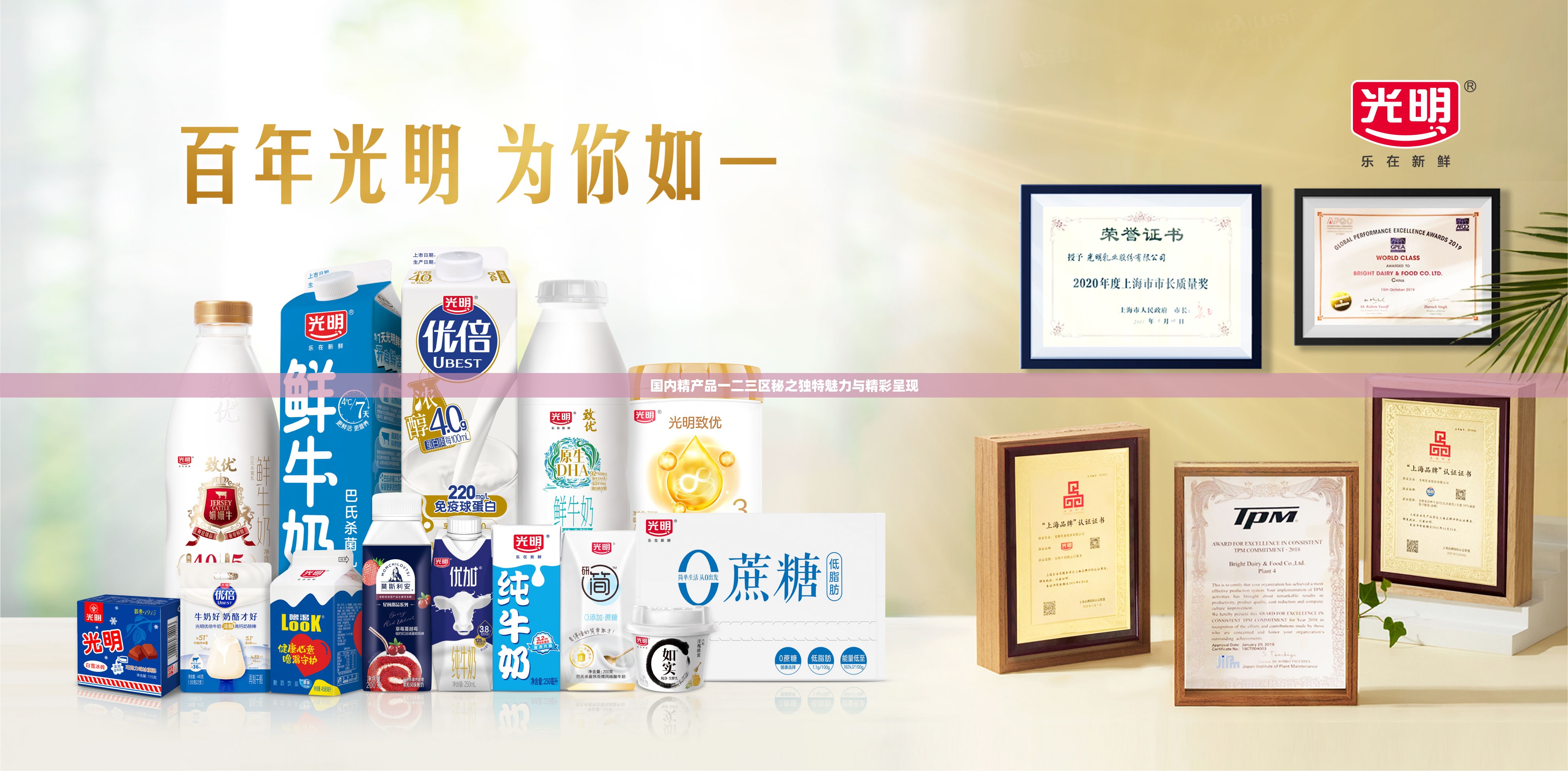 国内精产品一二三区秘之独特魅力与精彩呈现