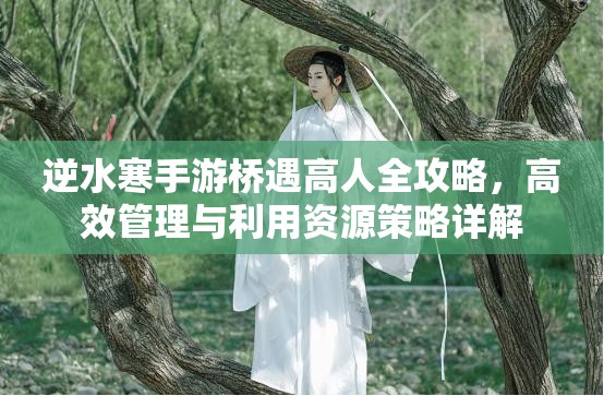 逆水寒手游桥遇高人全攻略，高效管理与利用资源策略详解