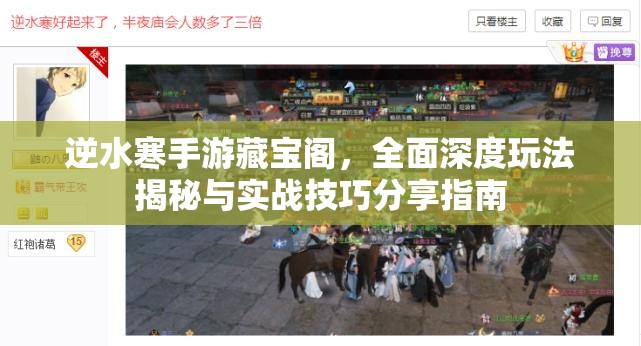 逆水寒手游藏宝阁，全面深度玩法揭秘与实战技巧分享指南