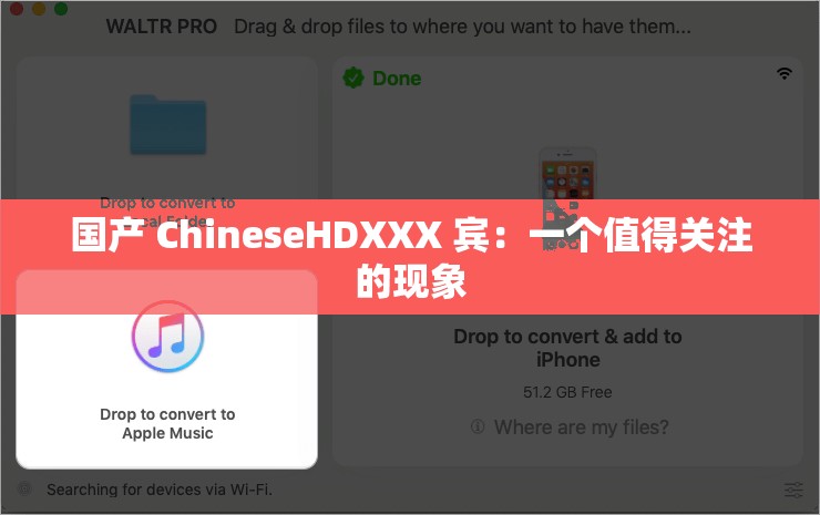 国产 ChineseHDXXX 宾：一个值得关注的现象