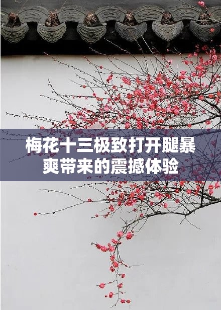 梅花十三极致打开腿暴爽带来的震撼体验